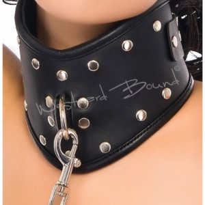 Leather Posture Collar and Lead