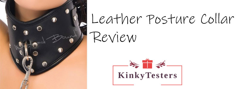 Leather Posture Collar Lead review